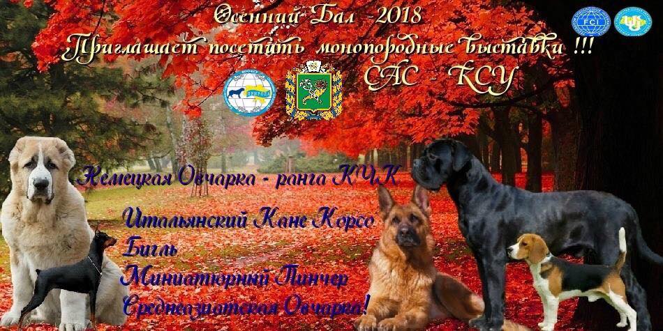 выставка собак 2 x CAC Харьков